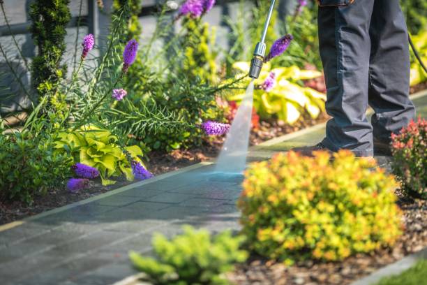 Best Dumpster Area Cleaning  in New Brighton, PA